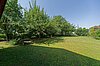 Garten mit Baumbestand 